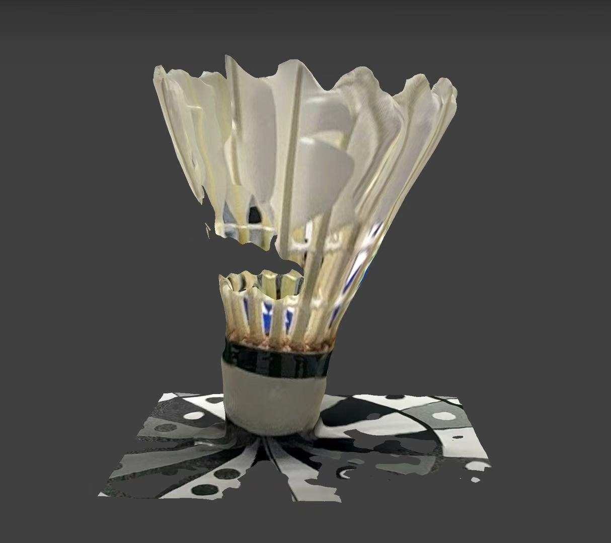 So I tried the shuttle, but after several tries it did not go well